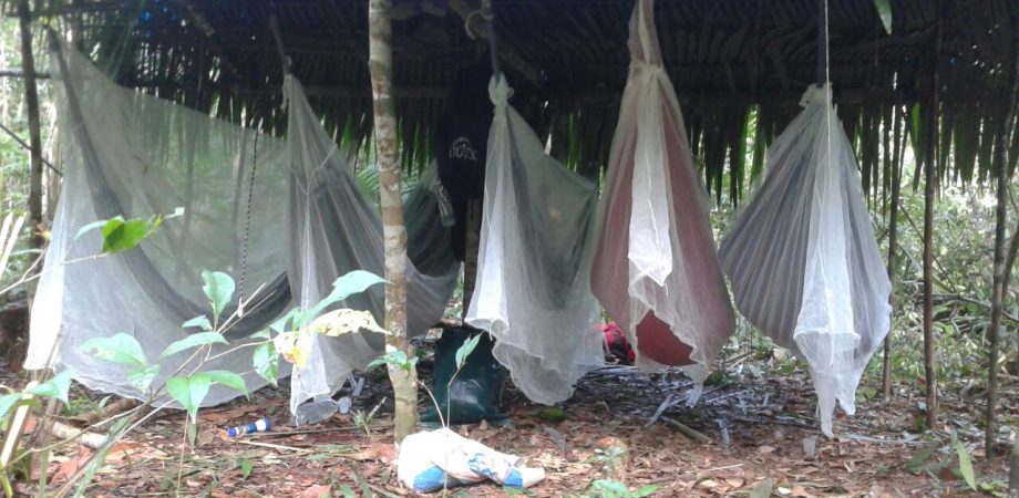 WhatsApp Image 2024-05-25 at 18.25.30 (1)