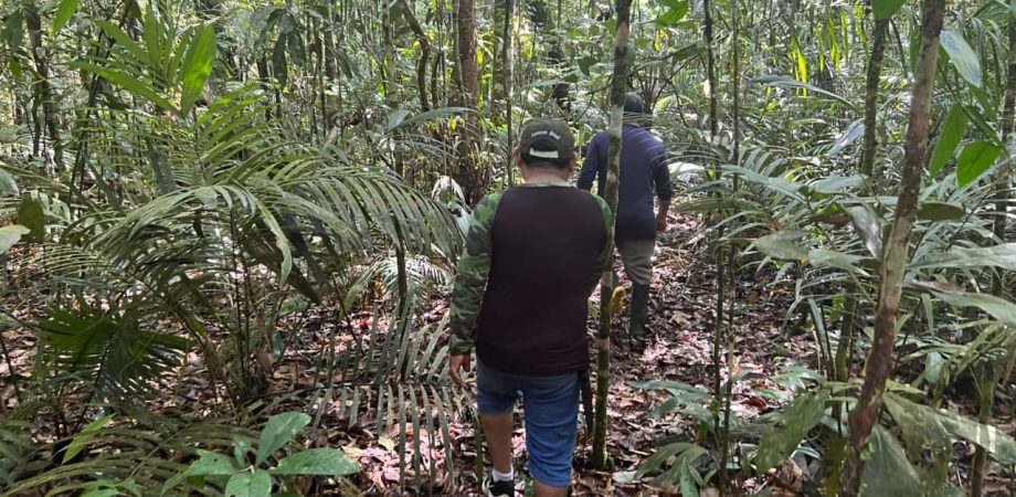 WhatsApp Image 2024-10-15 at 13.53.08