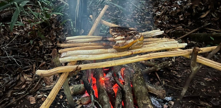 WhatsApp Image 2024-10-15 at 13.53.12 (1)