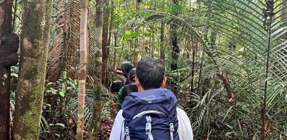 amazon-jungle-tours-manaus
