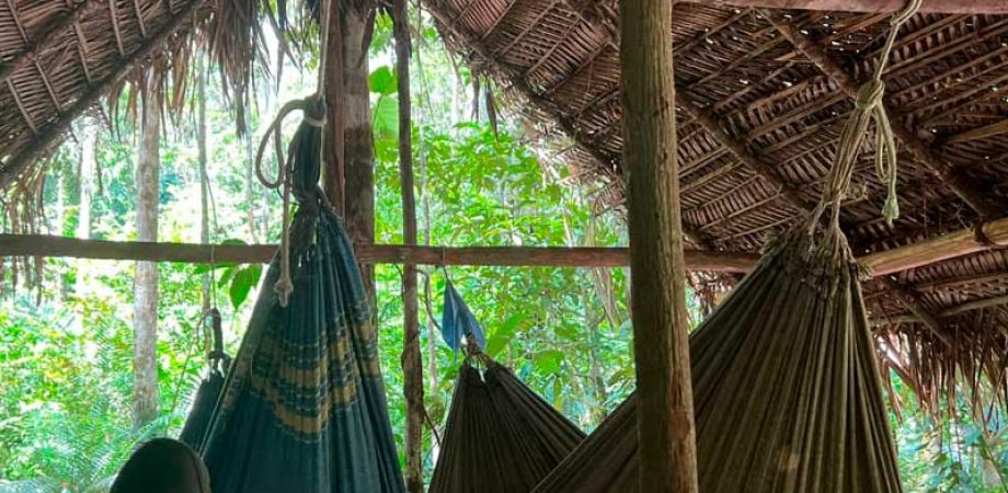 anavilhanas-camping-trip