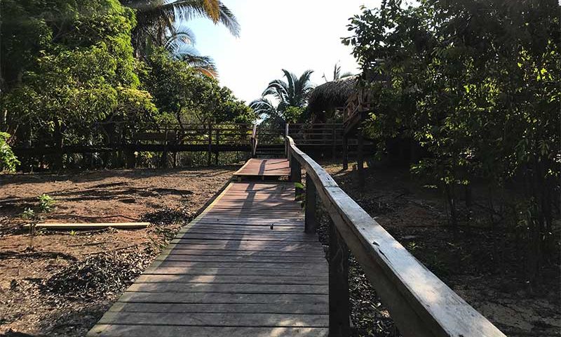 kabanas-amazon-lodge-7